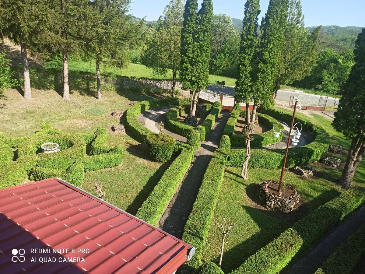Guest House Vila Aleksa Bogutovac Dış mekan fotoğraf