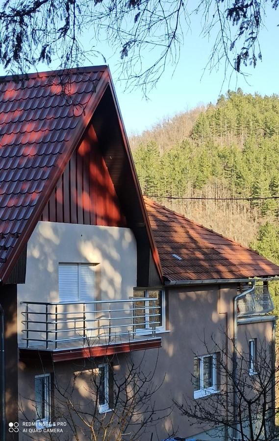 Guest House Vila Aleksa Bogutovac Dış mekan fotoğraf