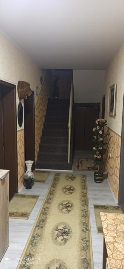 Guest House Vila Aleksa Bogutovac Dış mekan fotoğraf