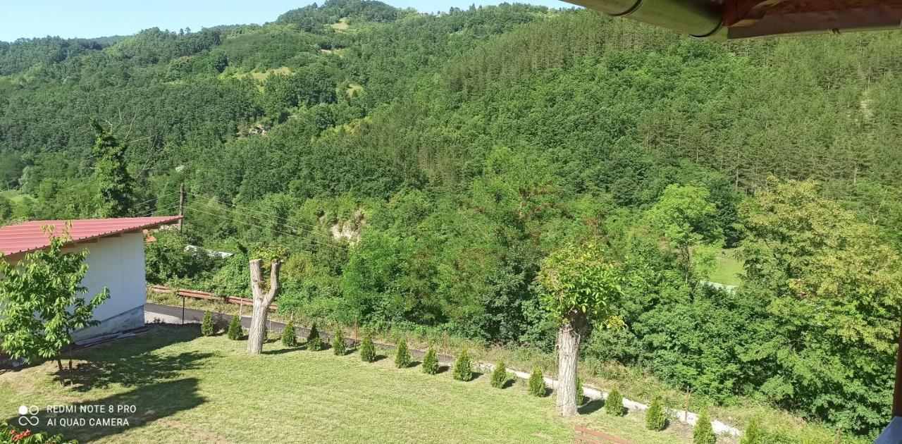 Guest House Vila Aleksa Bogutovac Dış mekan fotoğraf