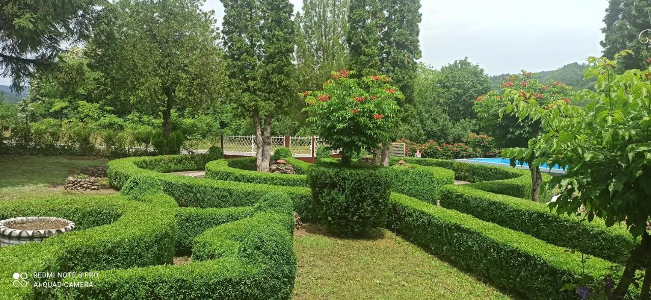 Guest House Vila Aleksa Bogutovac Dış mekan fotoğraf