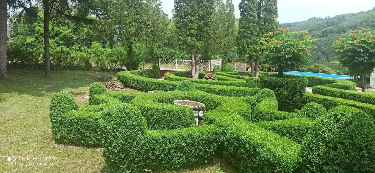 Guest House Vila Aleksa Bogutovac Dış mekan fotoğraf