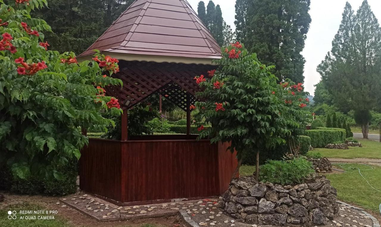 Guest House Vila Aleksa Bogutovac Dış mekan fotoğraf