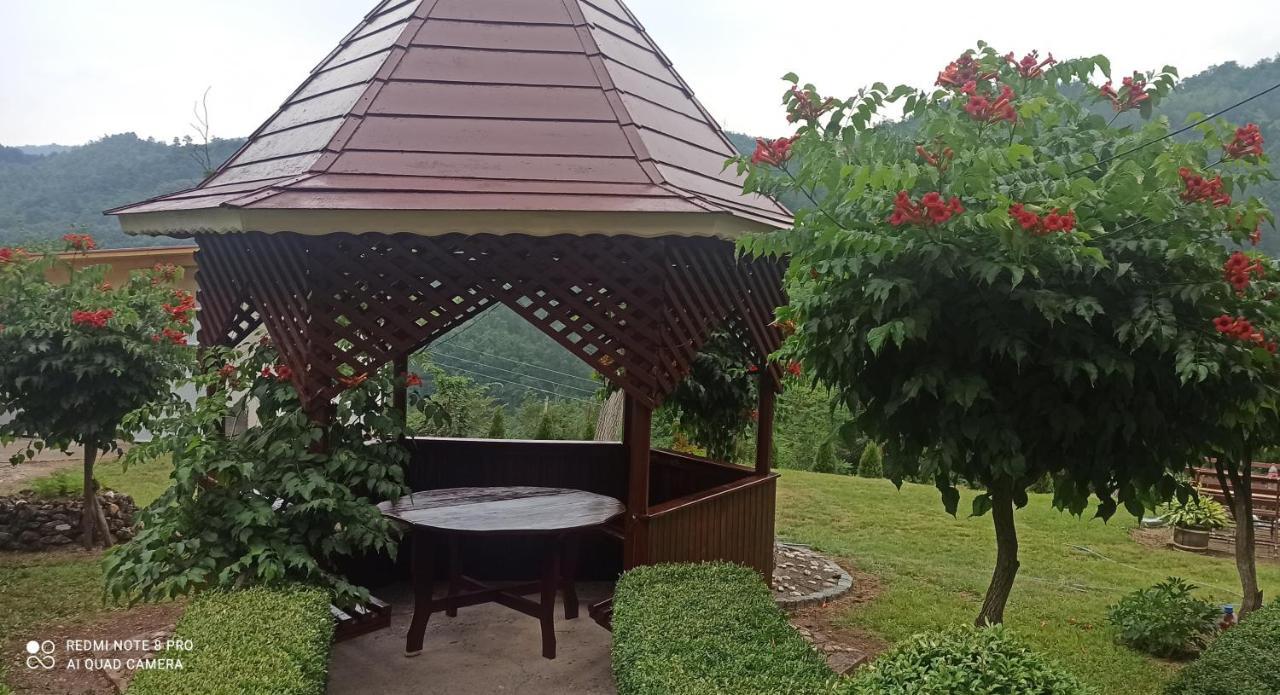 Guest House Vila Aleksa Bogutovac Dış mekan fotoğraf