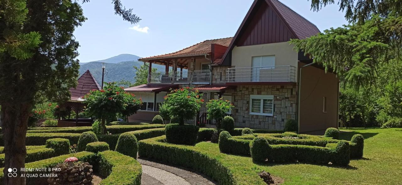 Guest House Vila Aleksa Bogutovac Dış mekan fotoğraf