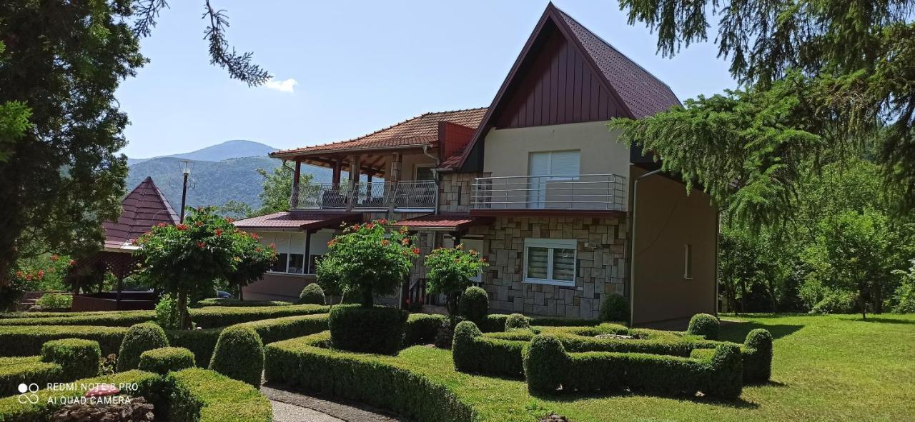 Guest House Vila Aleksa Bogutovac Dış mekan fotoğraf
