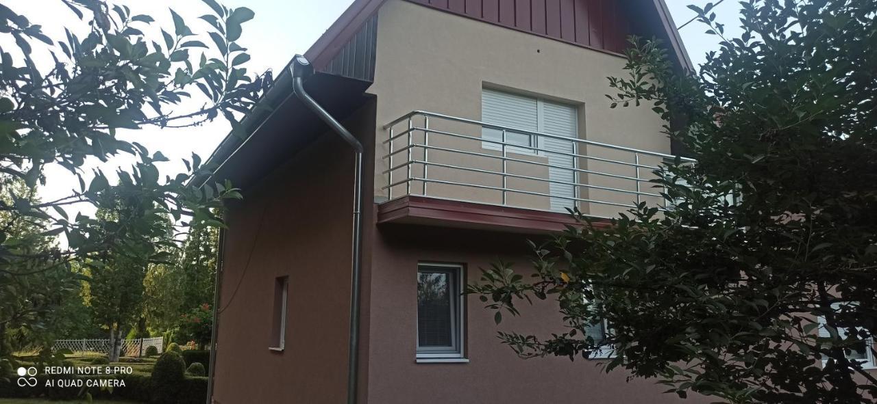 Guest House Vila Aleksa Bogutovac Dış mekan fotoğraf
